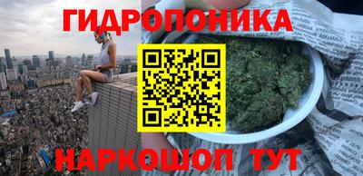 apvp Тара